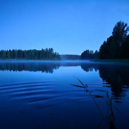 Linnunlaulu Miehikkala