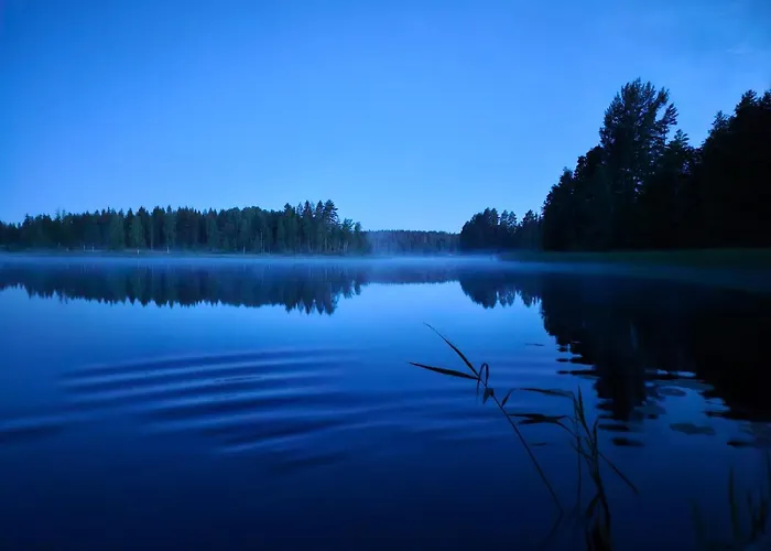 Linnunlaulu Miehikkala